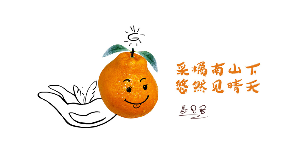 仁寿柑橘包装设计